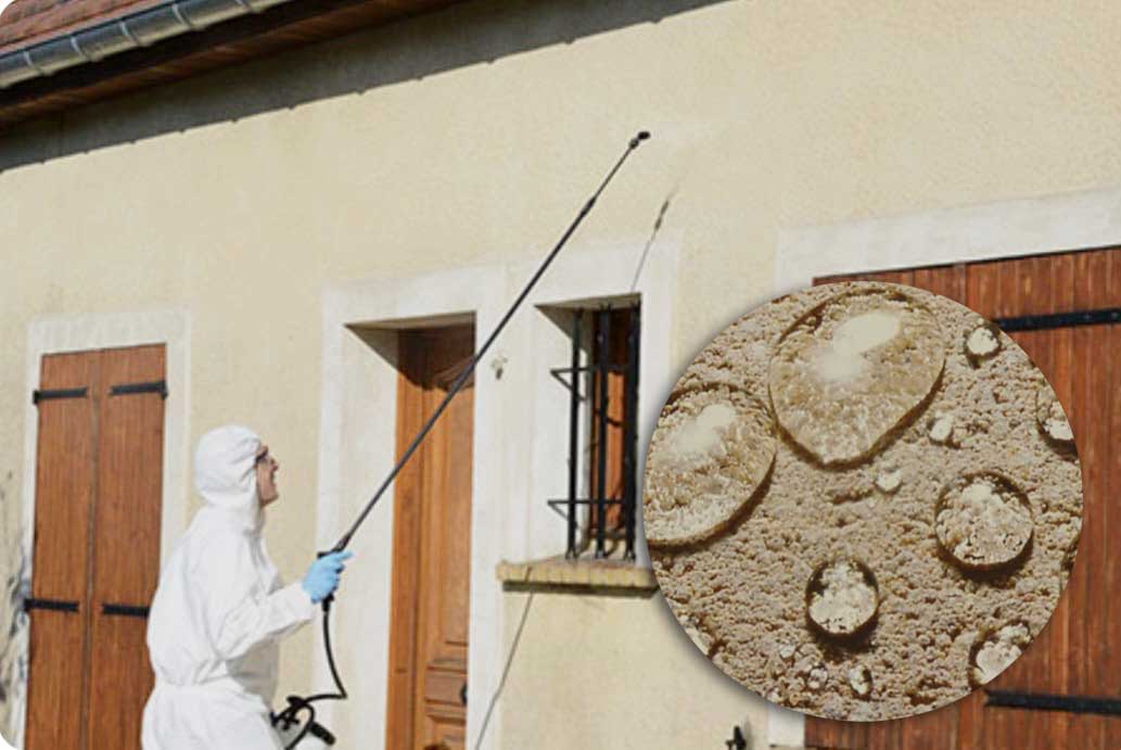 Ravalement, bardage façade : BAV PEINTURE 72 : Artisan peintre sur le Mans …et dans toute la Sarthe (72).Travaux de ravalement peinture façade : nettoyage, démoussage traitement anti mousse, ravalement peinture et imperméabilisation hydrofuge façade.